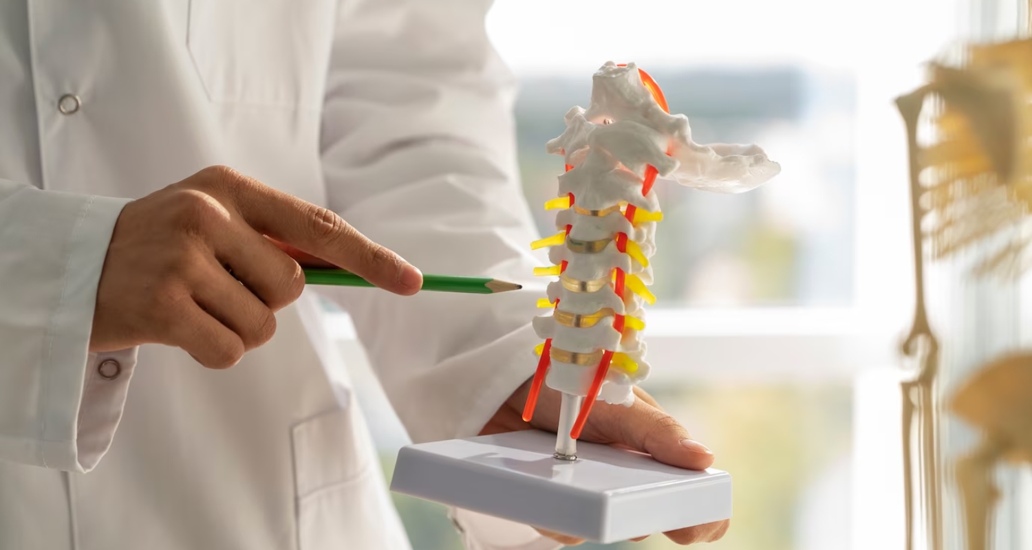 Spine & Neurosurgery